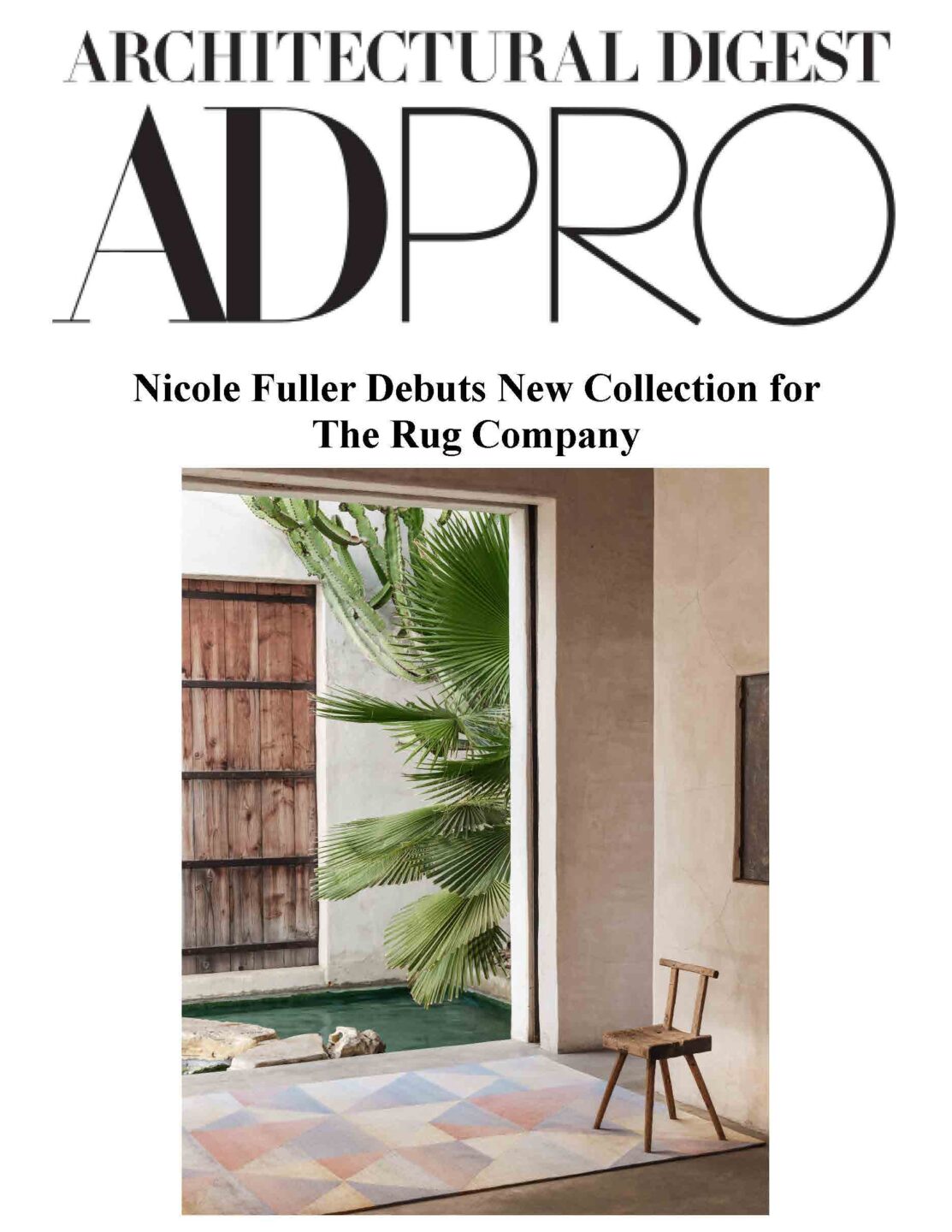 AD PRO THE RUG CO cover