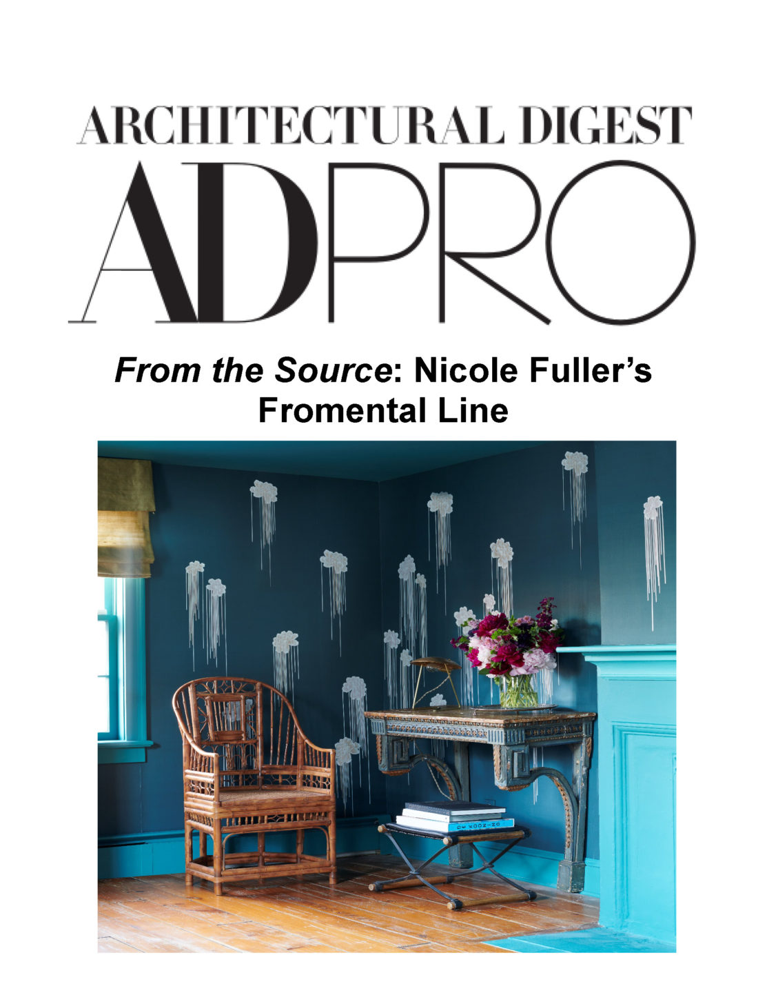 AD PRO from the source fromental png